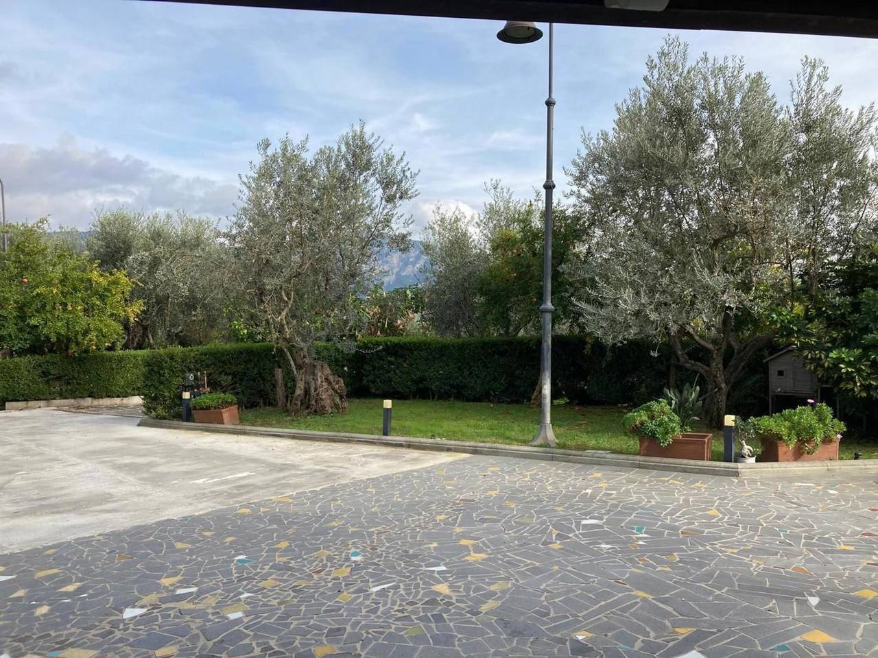 immagine annuncio 10 di 11