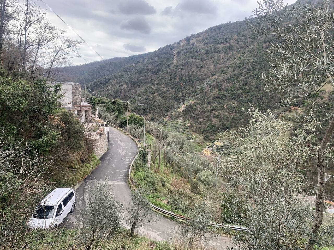 immagine annuncio 3 di 6