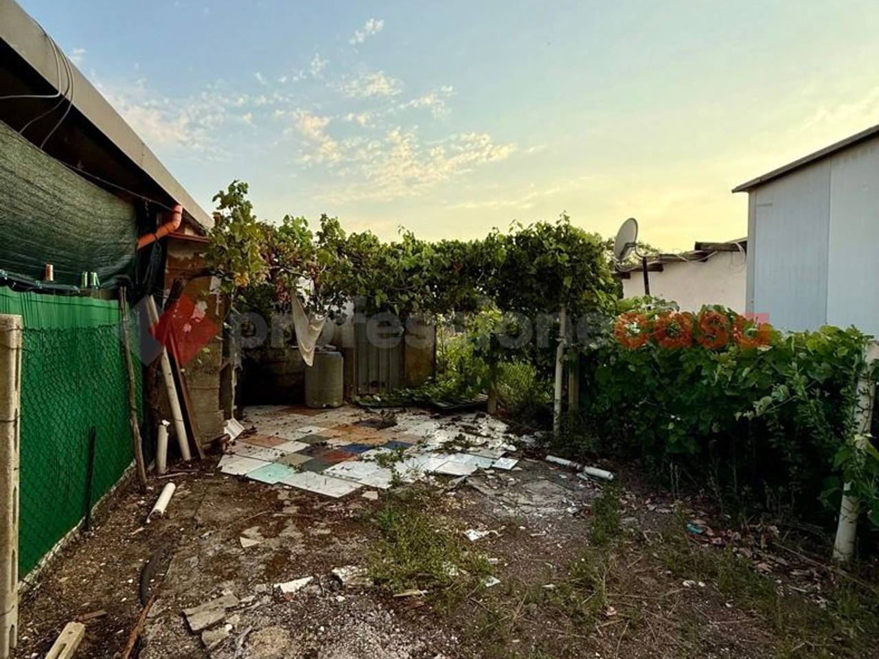 immagine annuncio 5 di 8