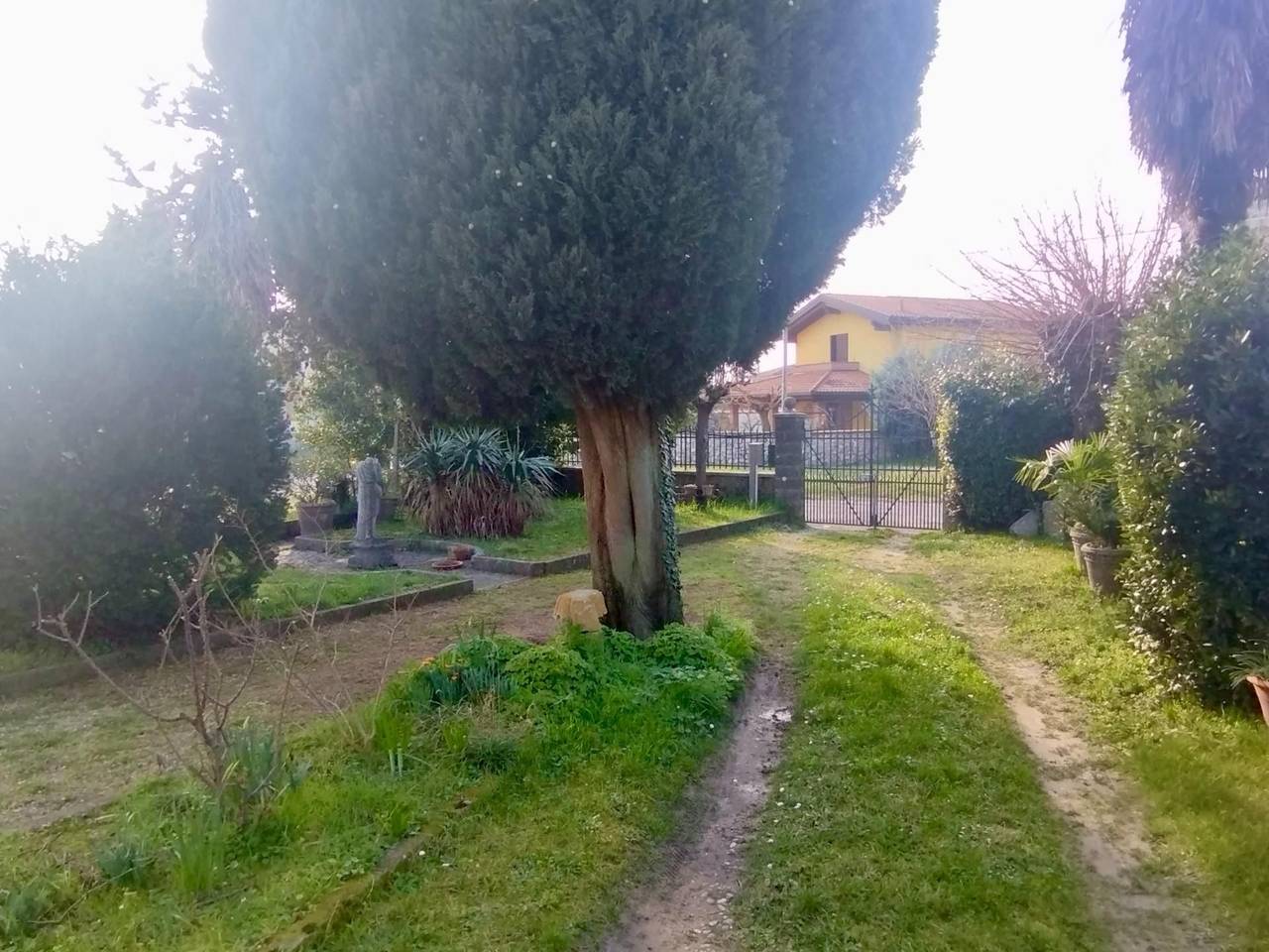 immagine annuncio 1 di 14