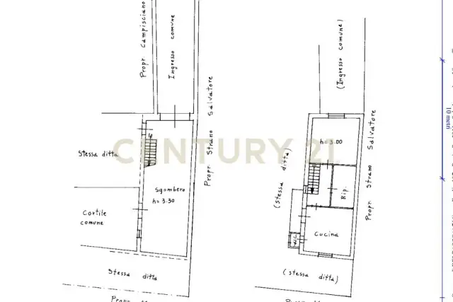 insertion image