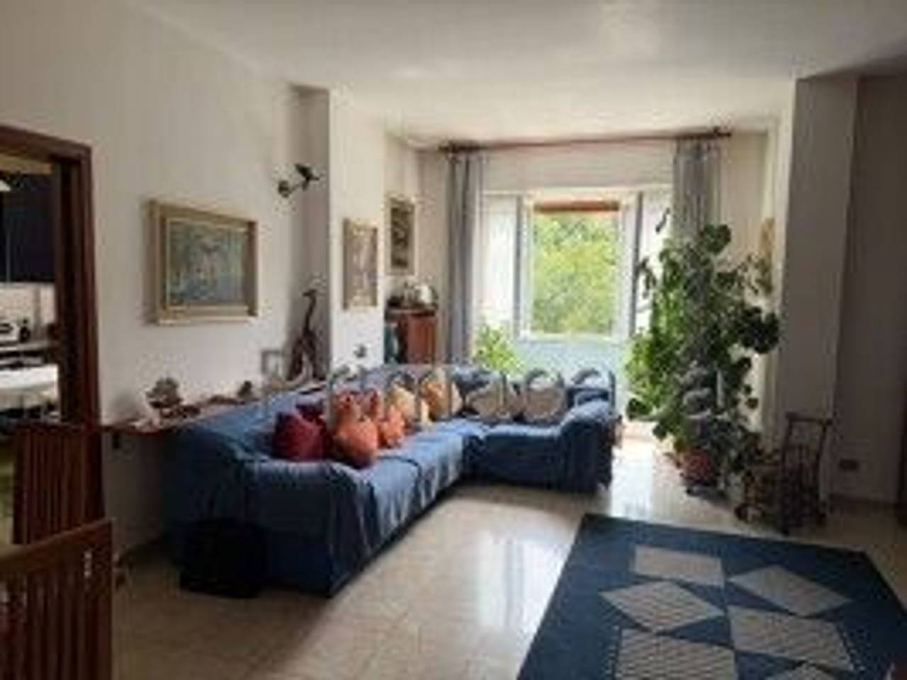 immagine annuncio 5 di 9