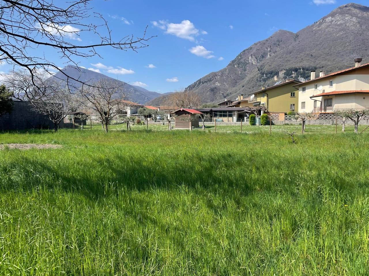 immagine annuncio 6 di 9