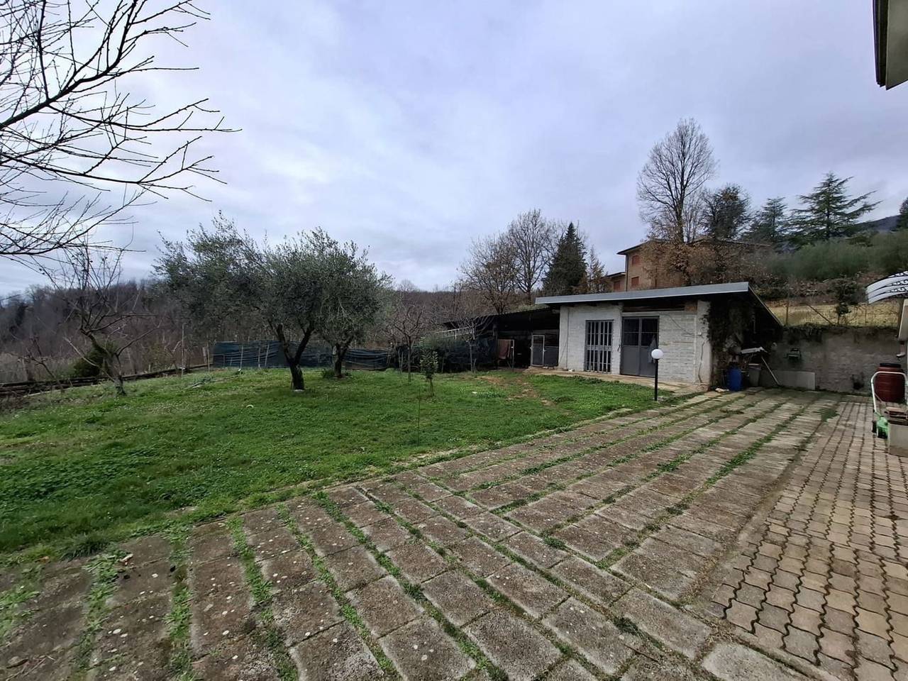 immagine annuncio 9 di 15