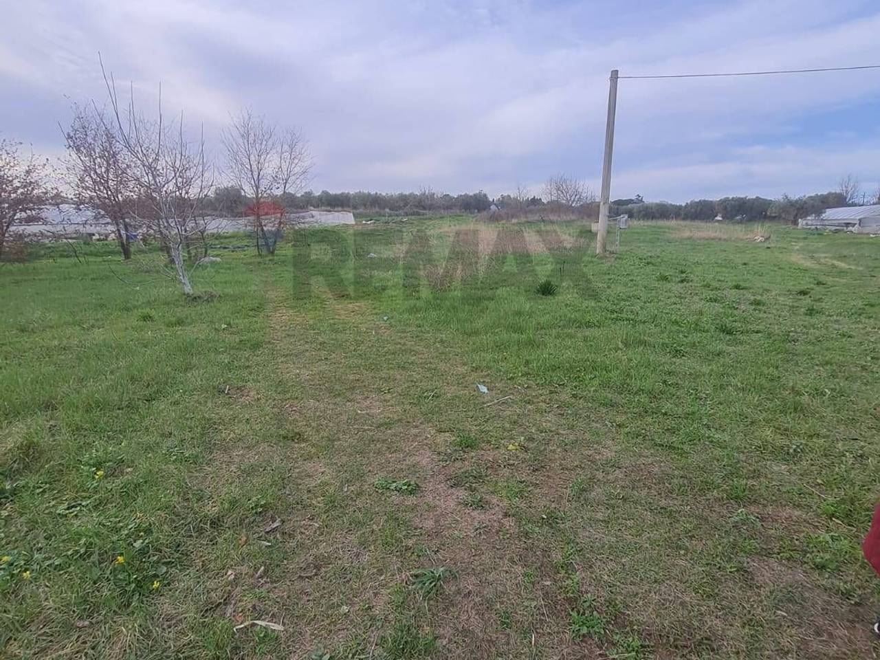 immagine annuncio 3 di 6