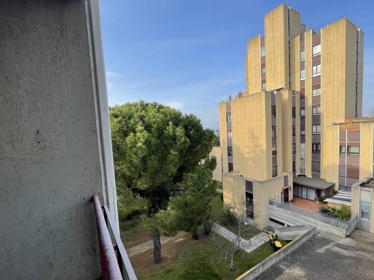 immagine annuncio 4 di 15