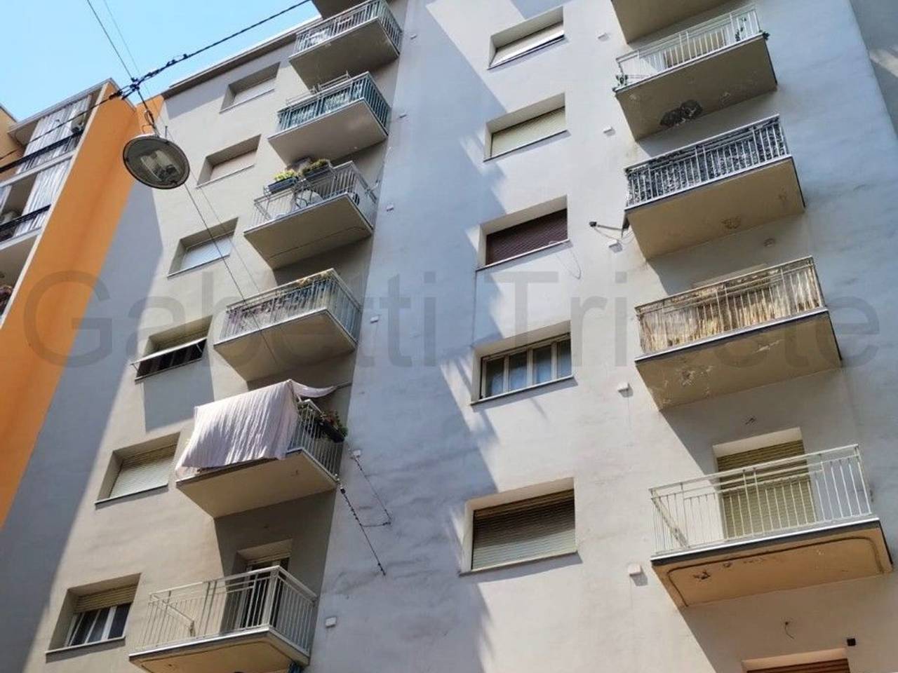 immagine annuncio 1 di 12