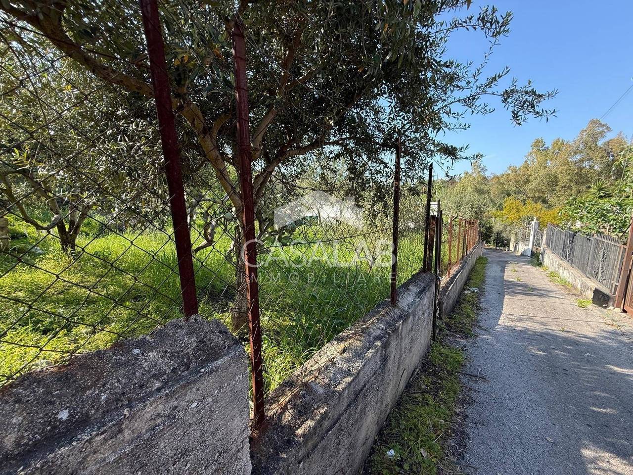 immagine annuncio 5 di 9