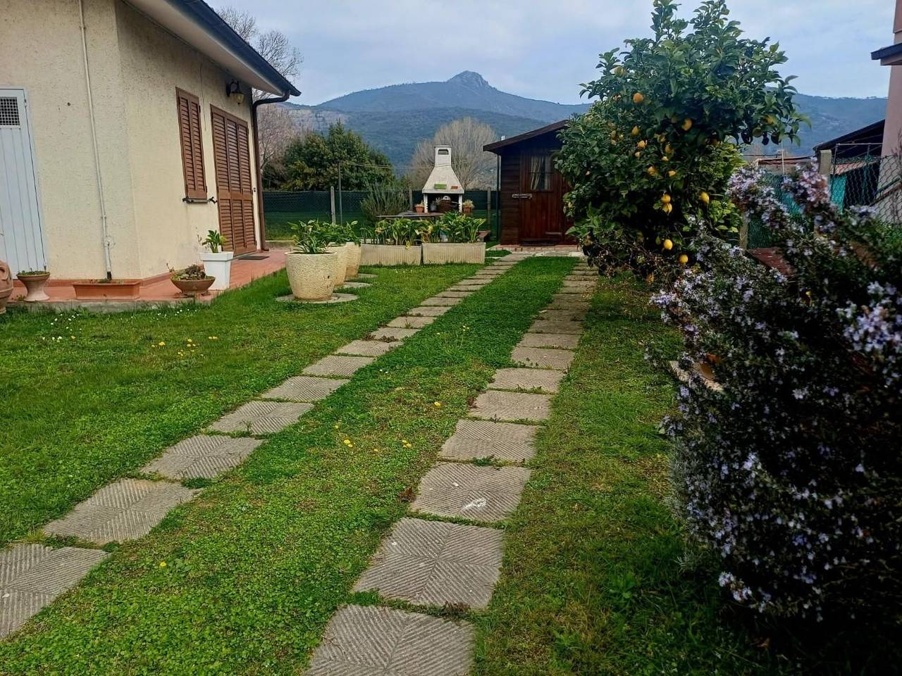 immagine annuncio 1 di 15