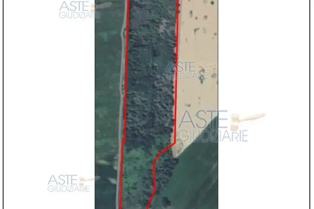 insertion image