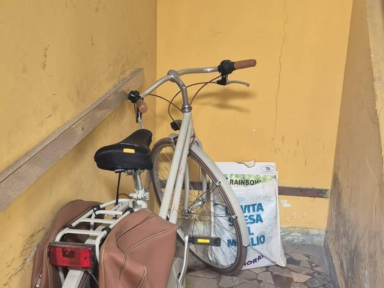 immagine annuncio 5 di 9