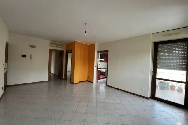 insertion image