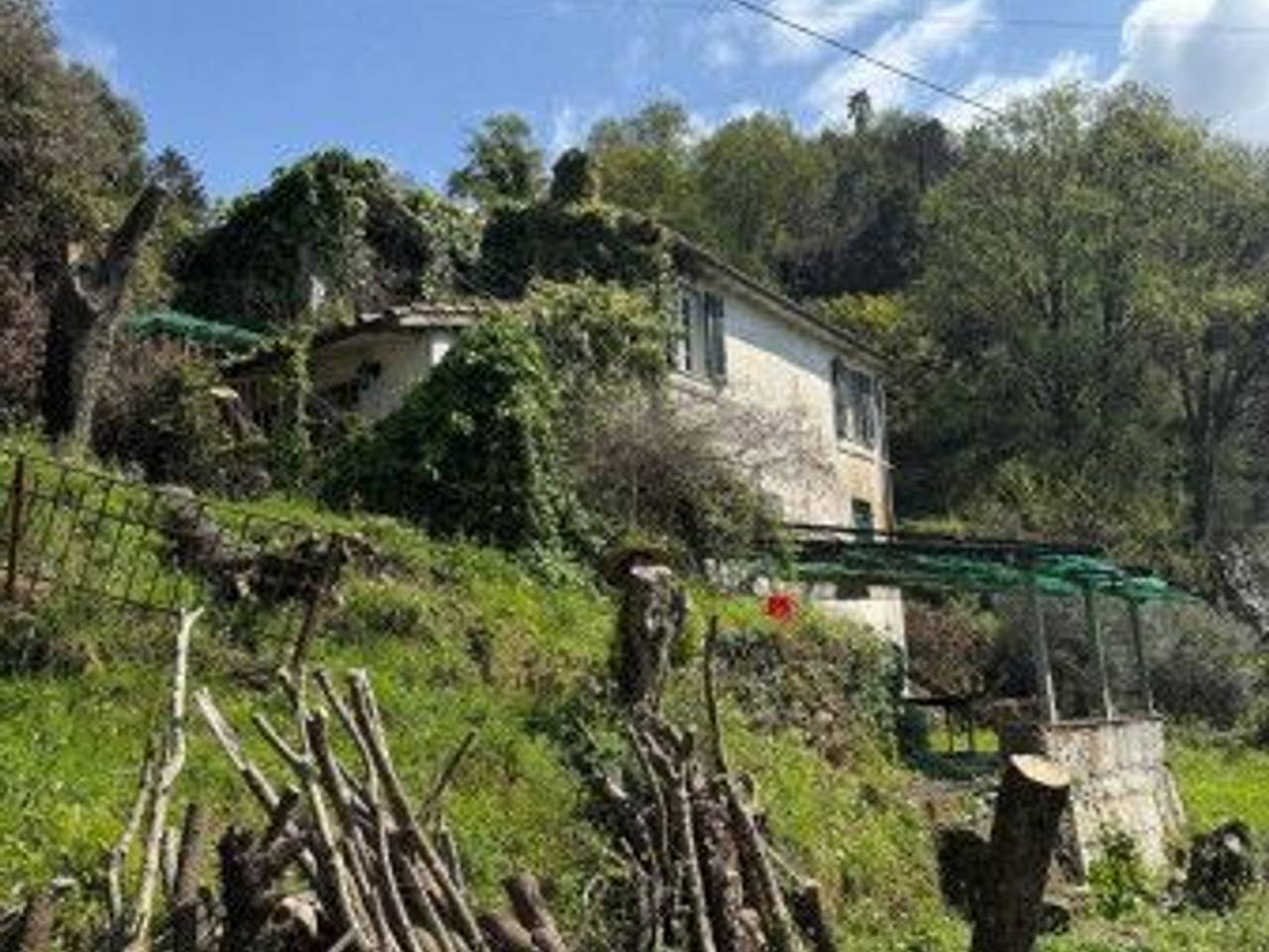 immagine annuncio 3 di 13