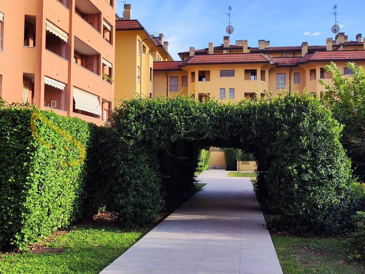 immagine annuncio 12 di 13