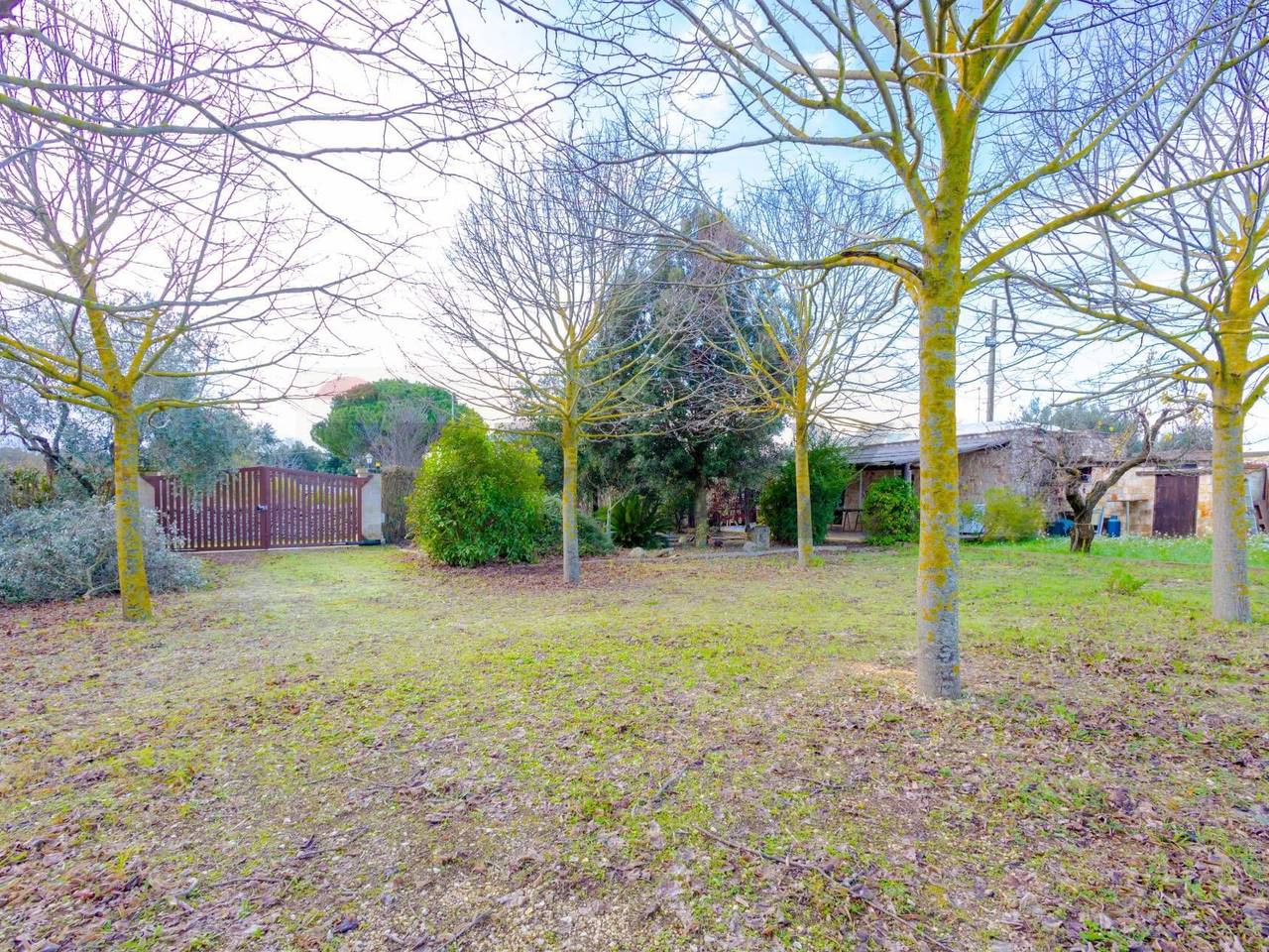 immagine annuncio 5 di 14