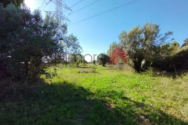 insertion image