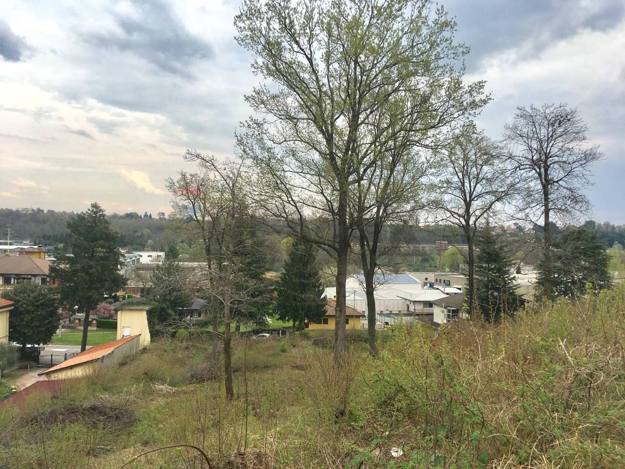 immagine annuncio 1 di 11