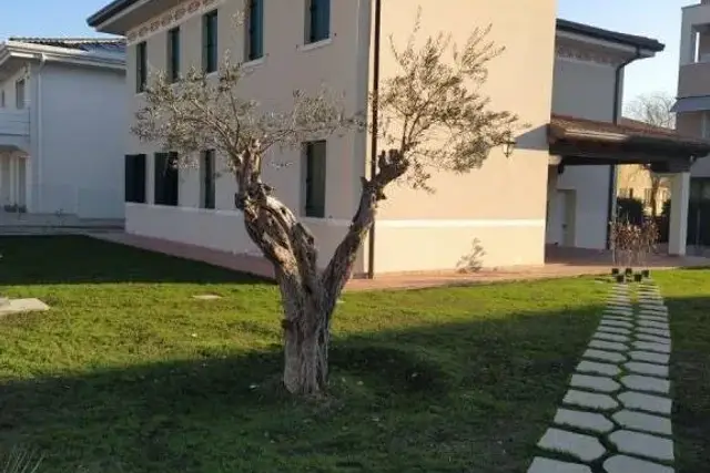 insertion image