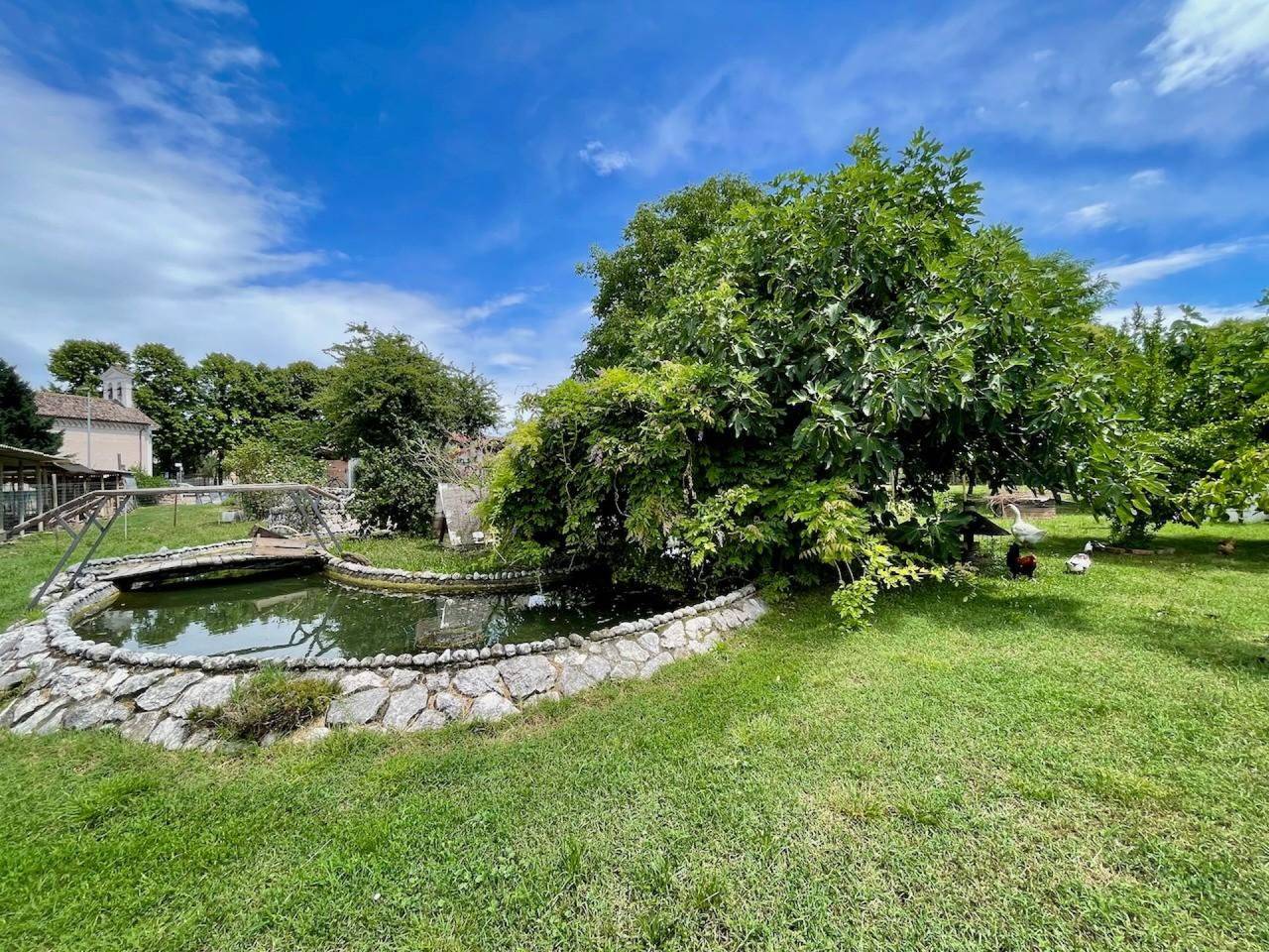 immagine annuncio 4 di 11