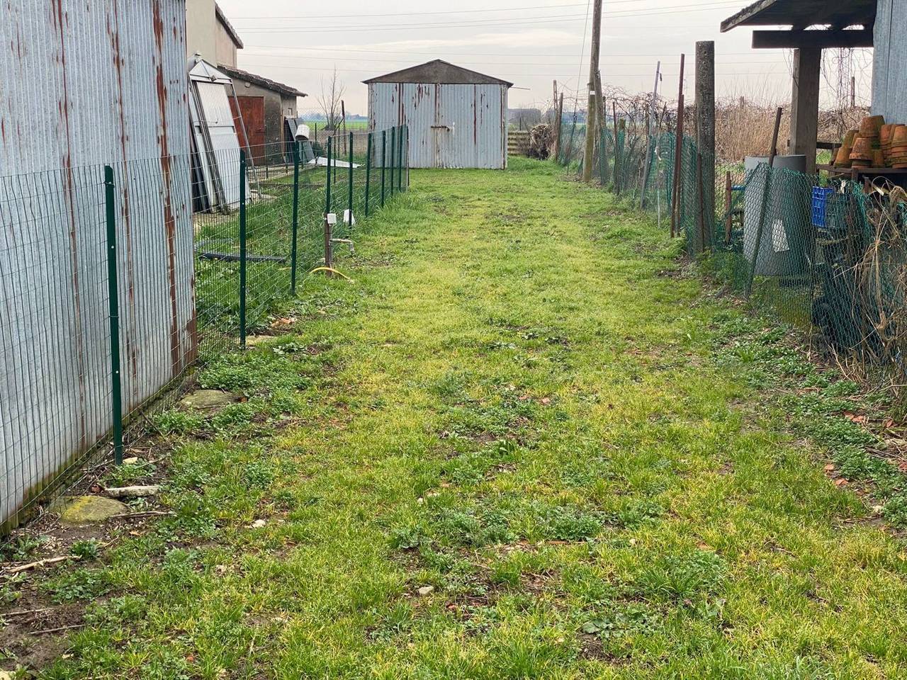 immagine annuncio 6 di 11