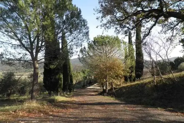 Negozio in vendita, Pomarance - Foto 1