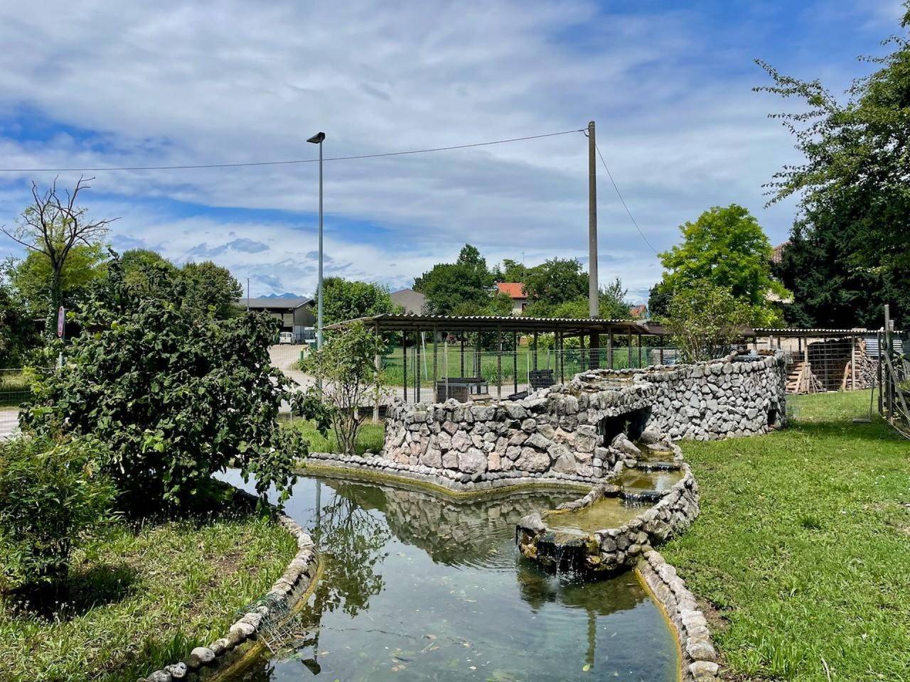 immagine annuncio 8 di 11