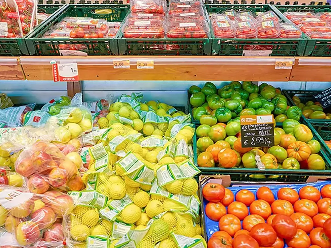 Esercizio commerciale in , Palaia, {3} - Foto 2