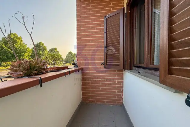 insertion image