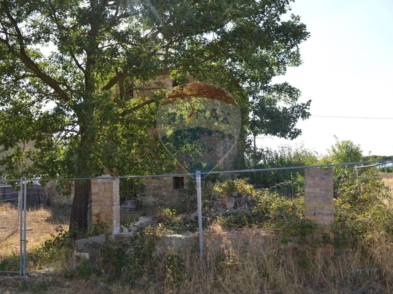 immagine annuncio 11 di 14