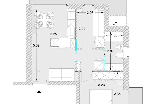 insertion image