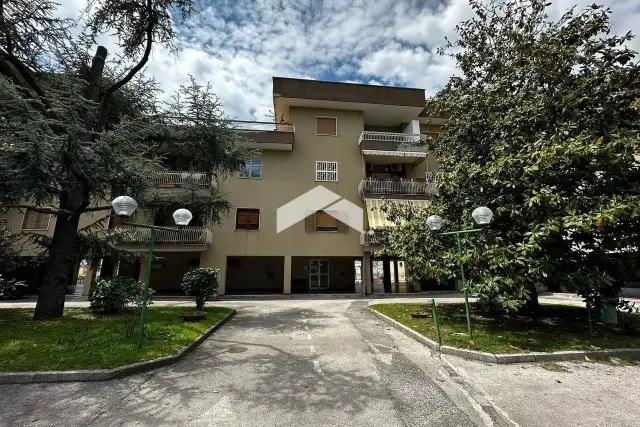 insertion image