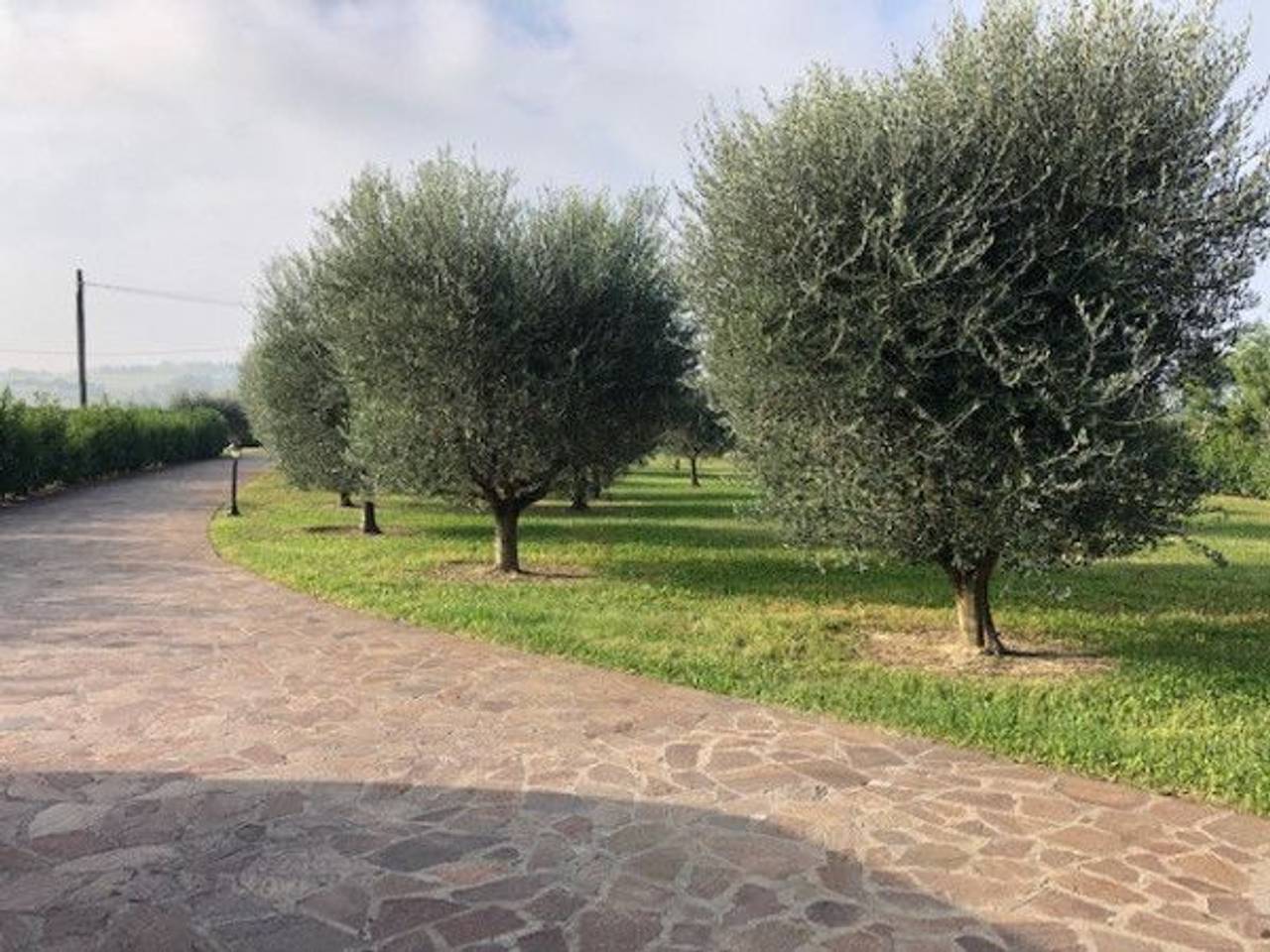 immagine annuncio 5 di 7