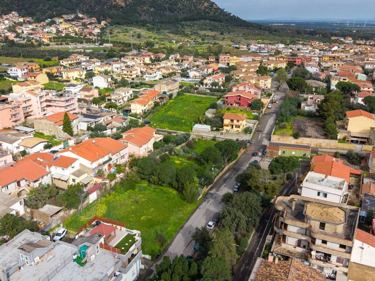 immagine annuncio 10 di 14