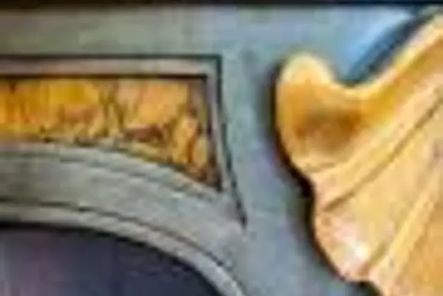 insertion image