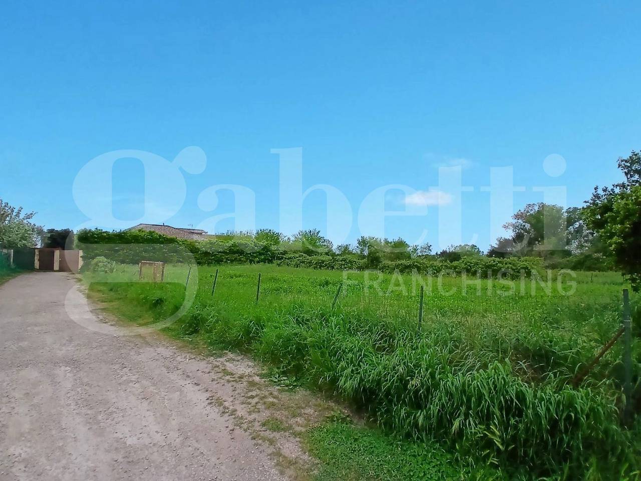 immagine annuncio 3 di 4