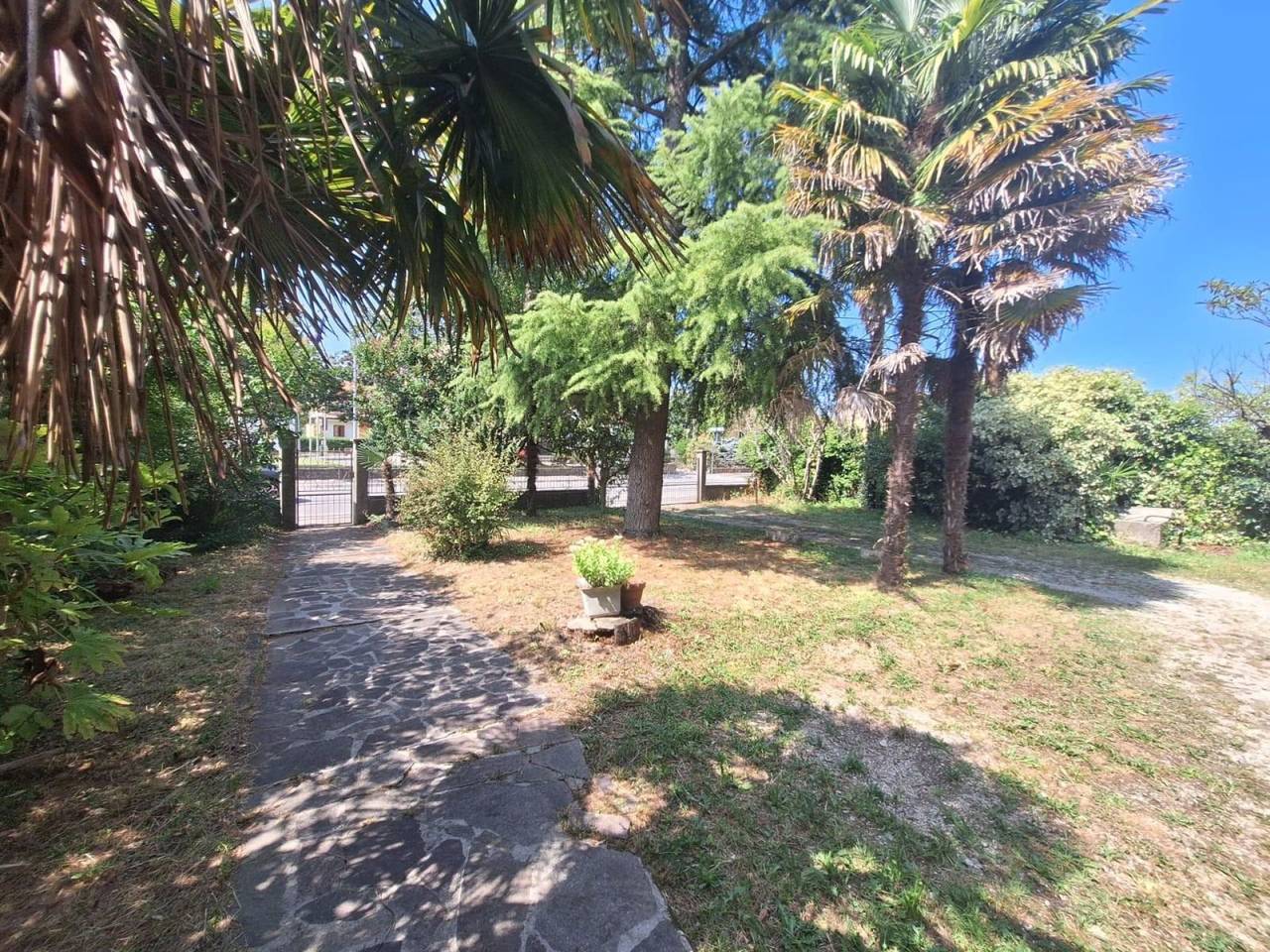 immagine annuncio 7 di 8