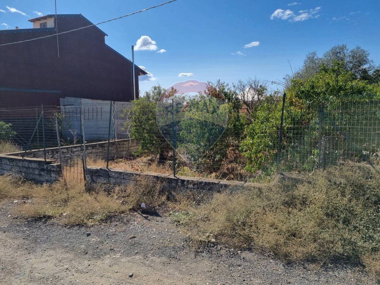 immagine annuncio 1 di 4