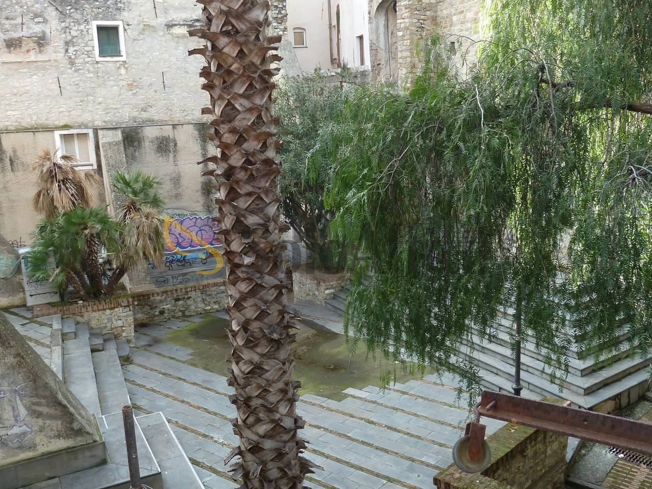 immagine annuncio 5 di 9