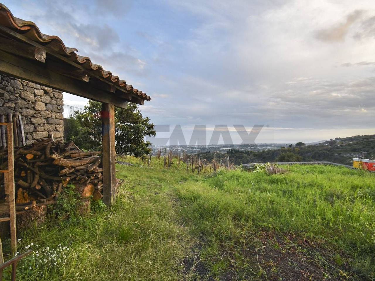 immagine annuncio 1 di 7