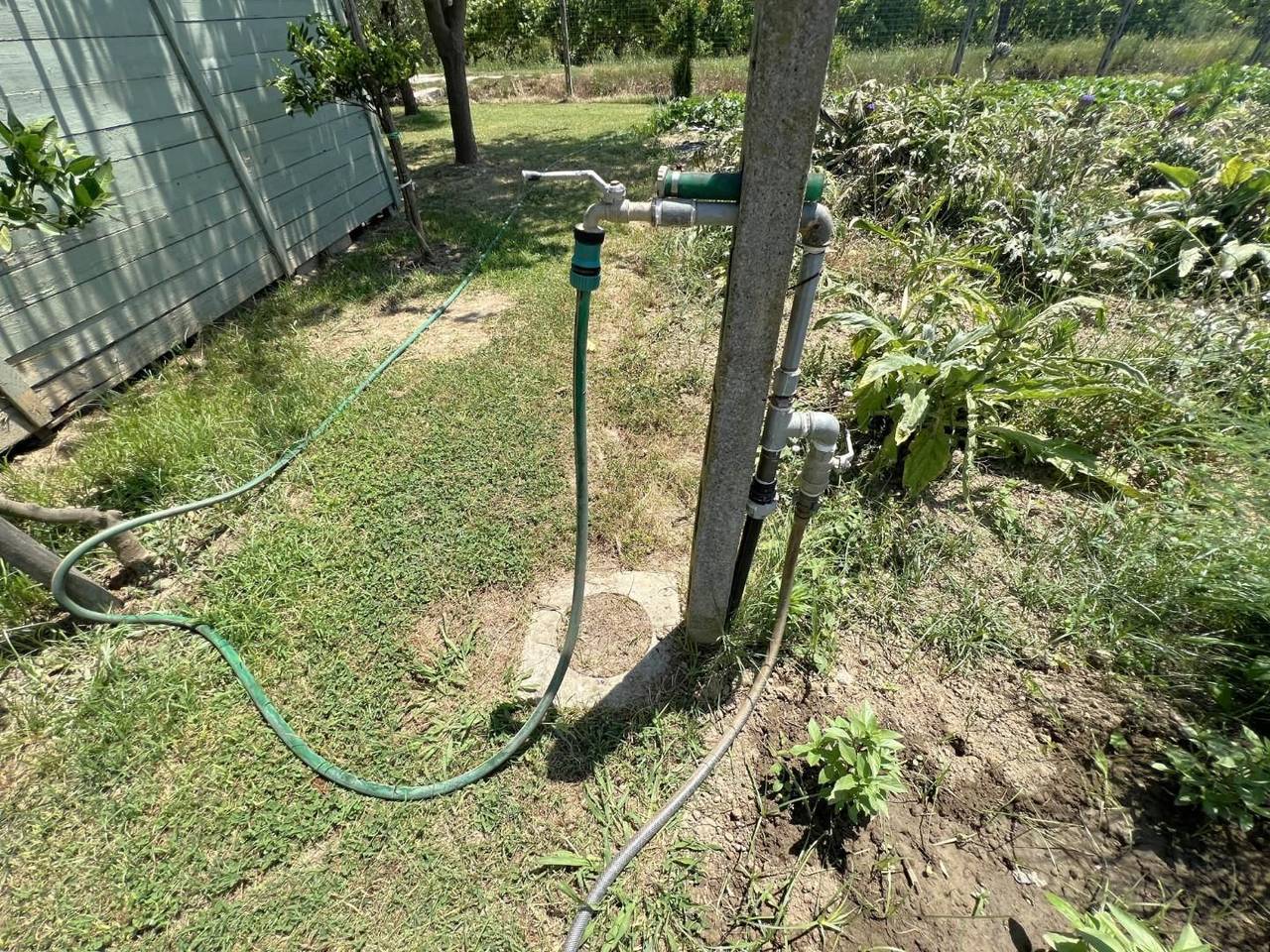 immagine annuncio 6 di 13