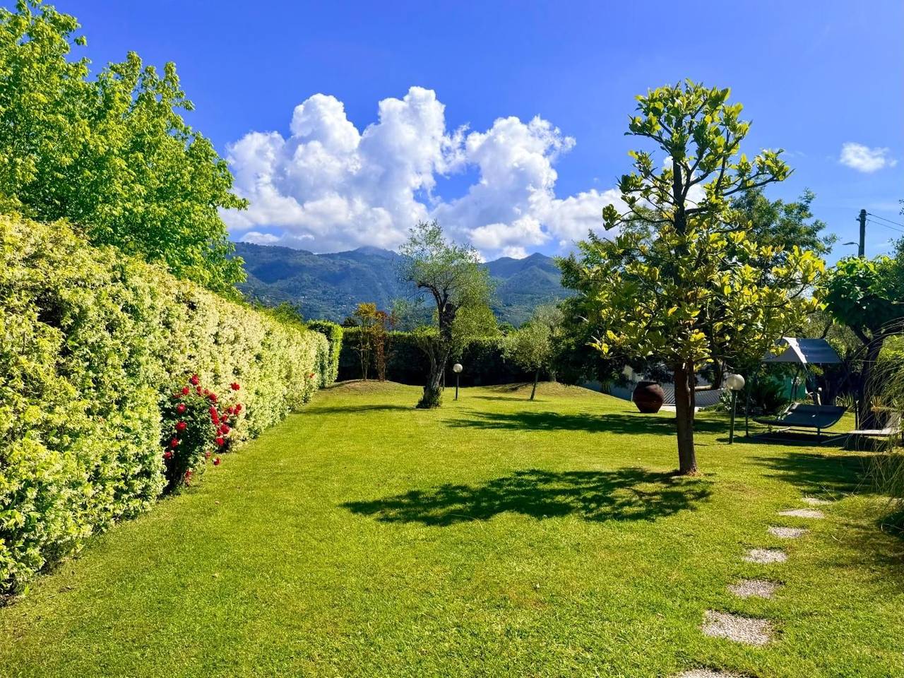 immagine annuncio 6 di 15