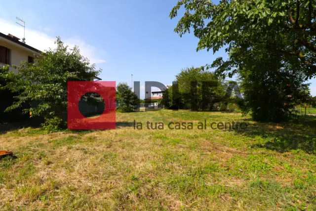 insertion image