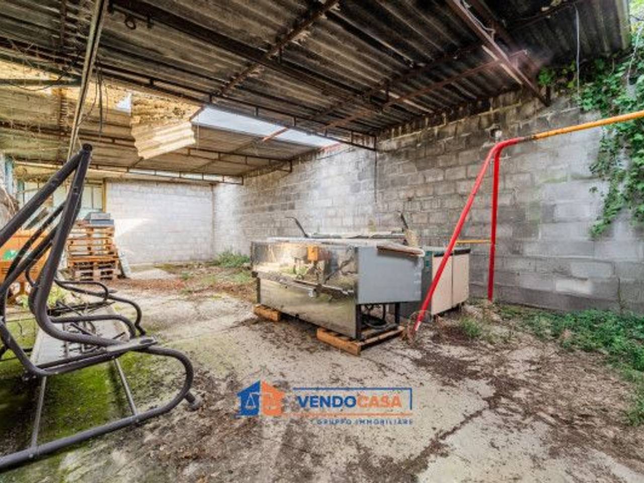 immagine annuncio 12 di 14