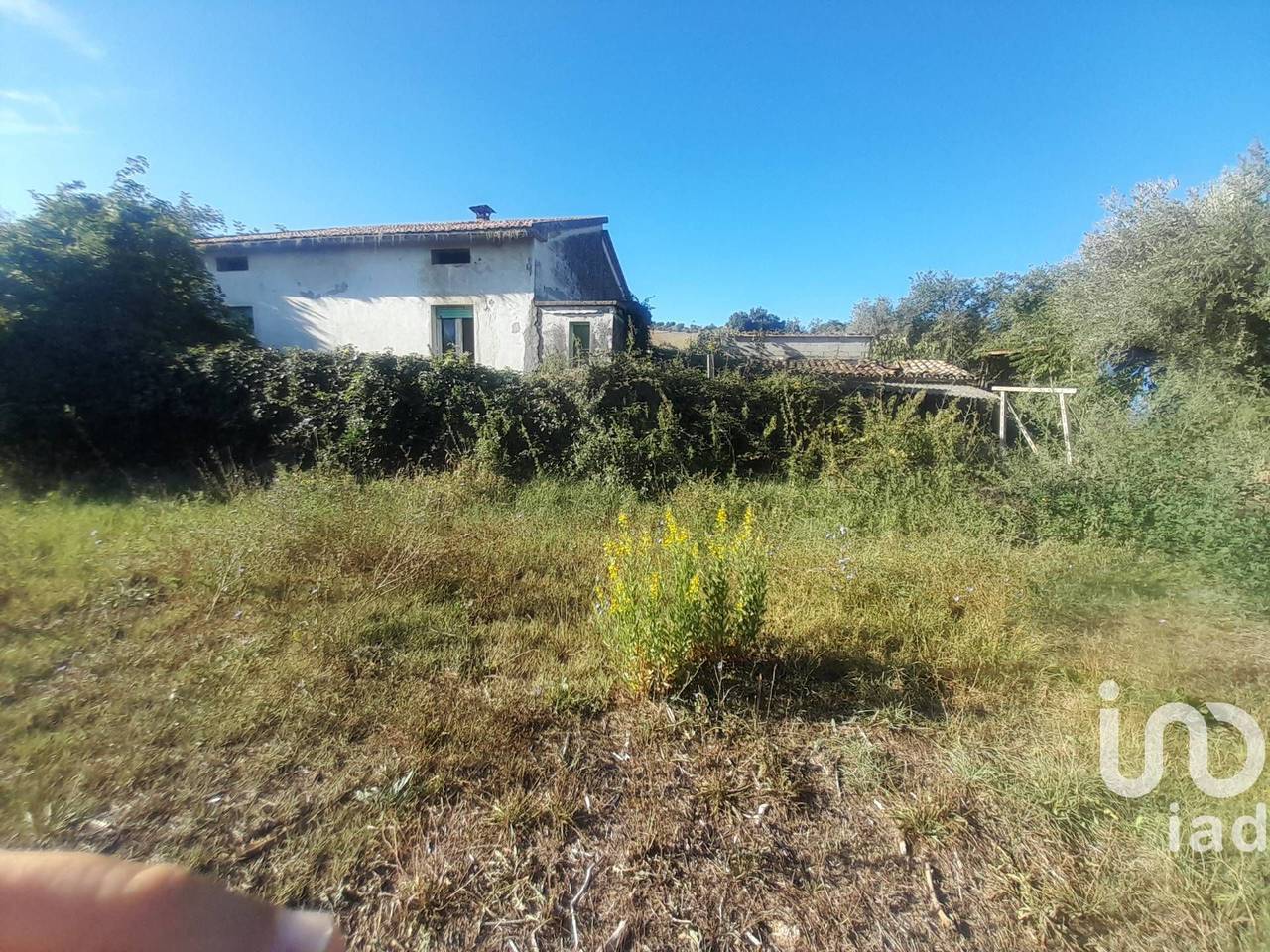 immagine annuncio 6 di 9