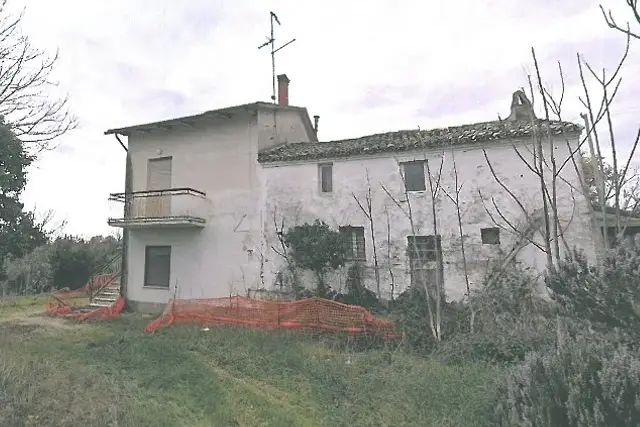 insertion image