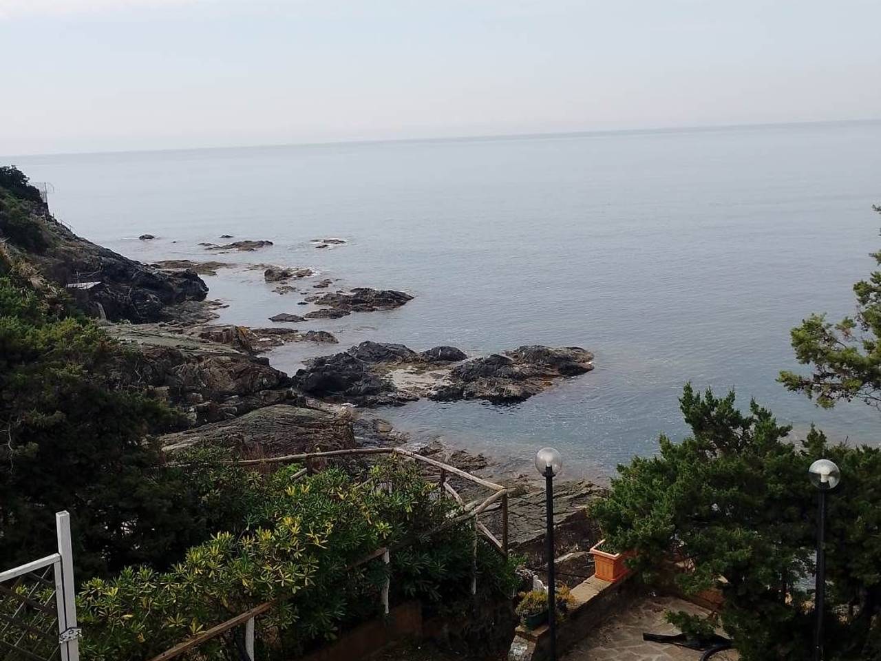 immagine annuncio 5 di 8