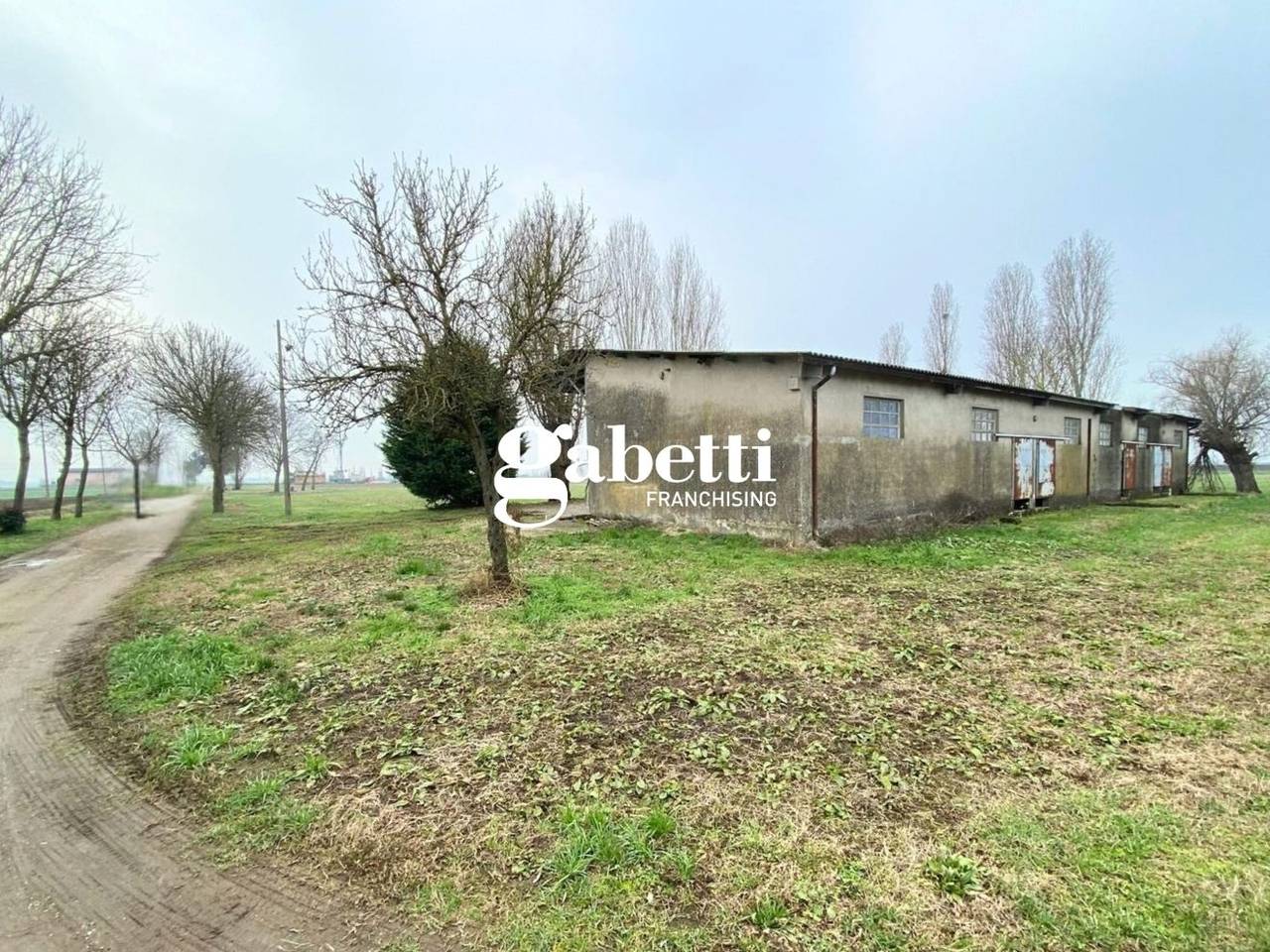 immagine annuncio 1 di 2