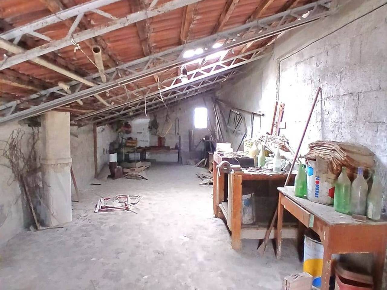 immagine annuncio 12 di 14