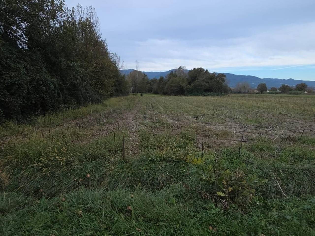 immagine annuncio 3 di 4