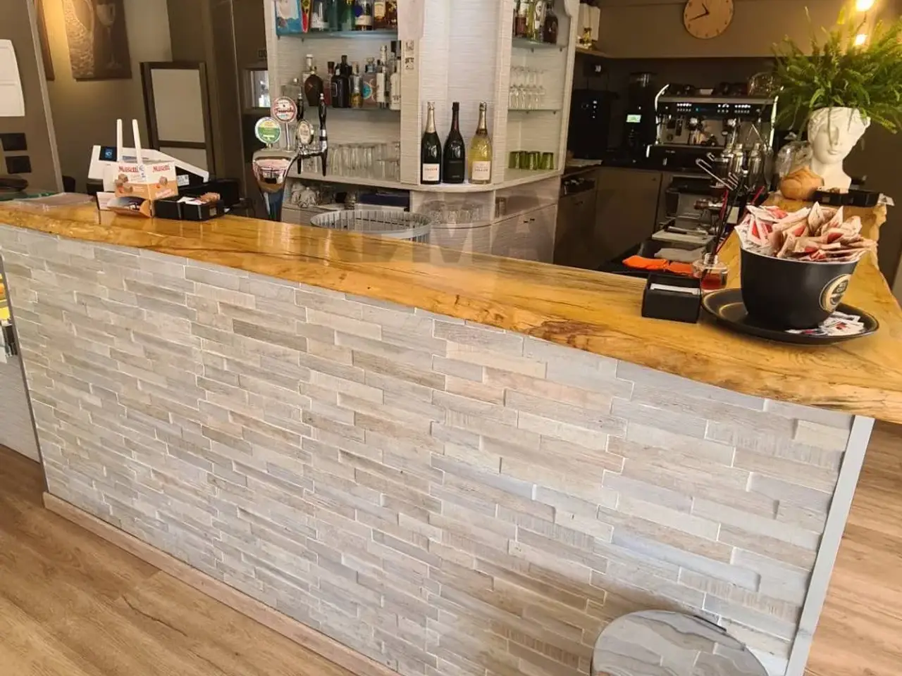 Bar in , Valsamoggia, {3} - Foto 2